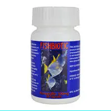 Amoxicillin
